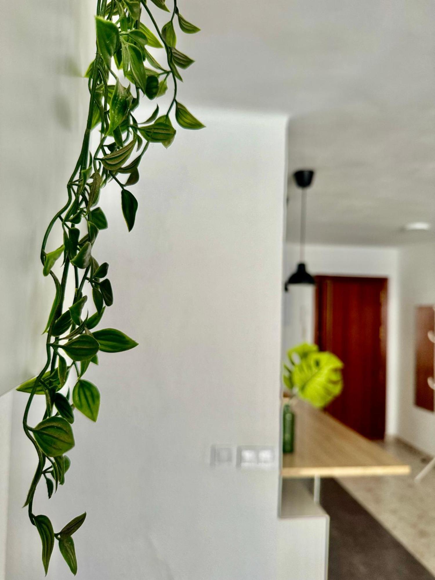 Acogedor Apartamento En マラガ エクステリア 写真